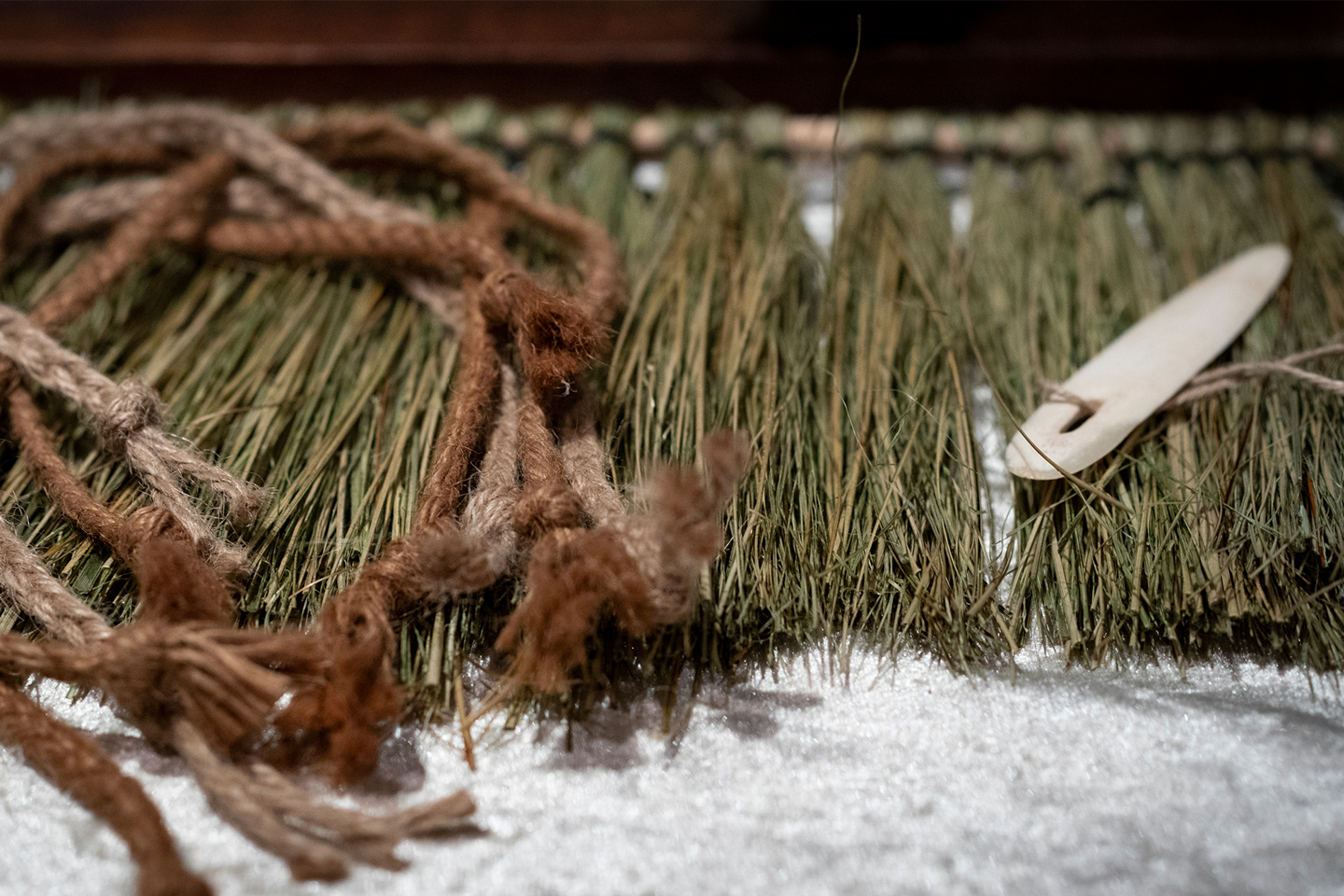 Beyond The Taonga (1)